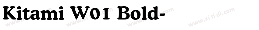 Kitami W01 Bold字体转换